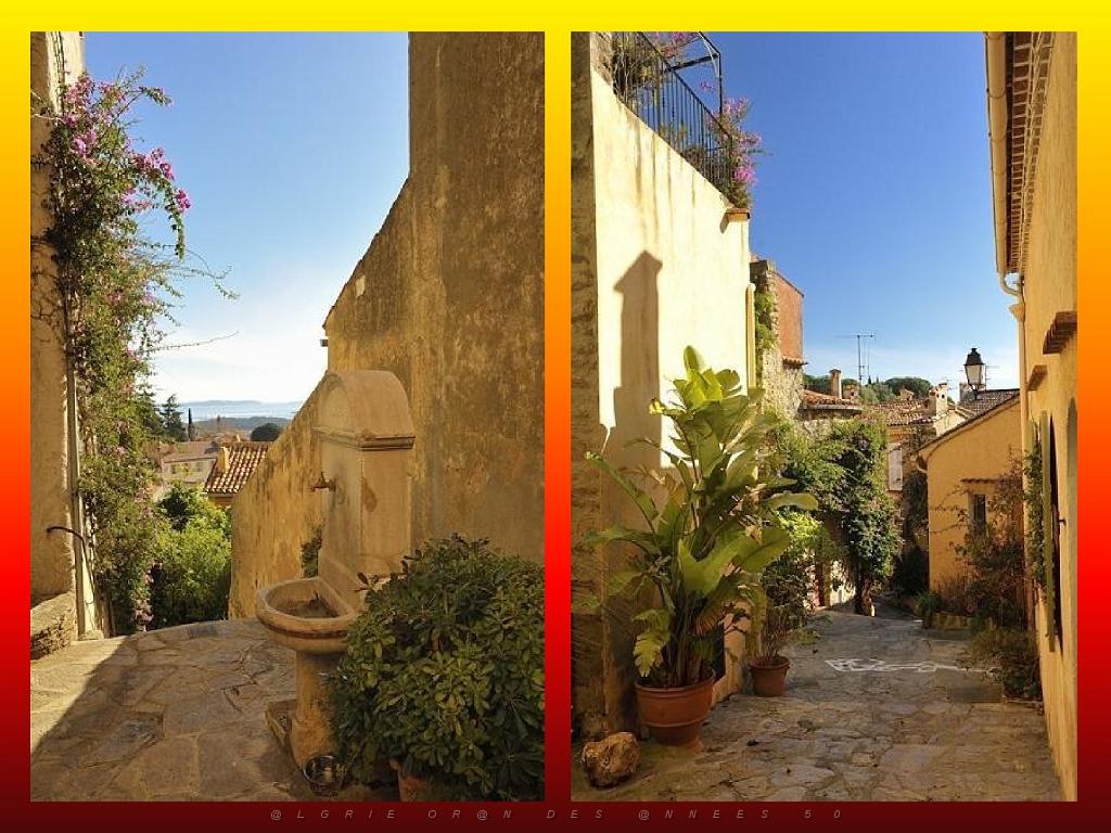 183 D25 BORMES LES MIMOSAS 3_000033.jpg